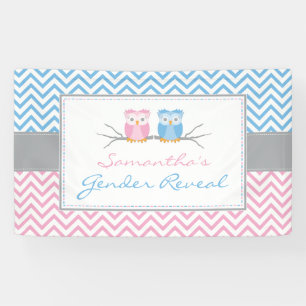 Gender Reveal Banner-Blue & Pink Owl Banner