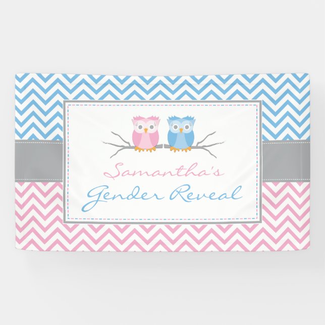 Gender Reveal Banner-Blue & Pink Owl Banner (Horizontal)