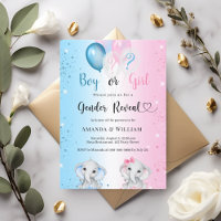 Gender reveal blue pink boy girl elephants