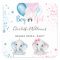 Gender reveal boy girl blue pink glitter elephants