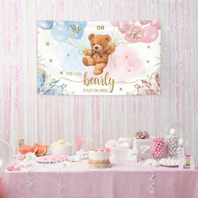  Gender Reveal Boy or Girl Blue Pink Ballons Banner (Party)