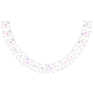 Gender Reveal He or She Pink Blue Baby Shower  Bunting