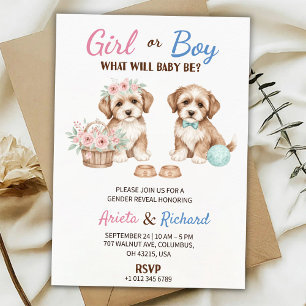 Gender reveal invitation featuring two puppies