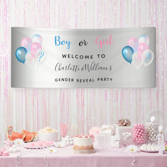 Gender reveal party boy girl blue pink silver banner (Party)