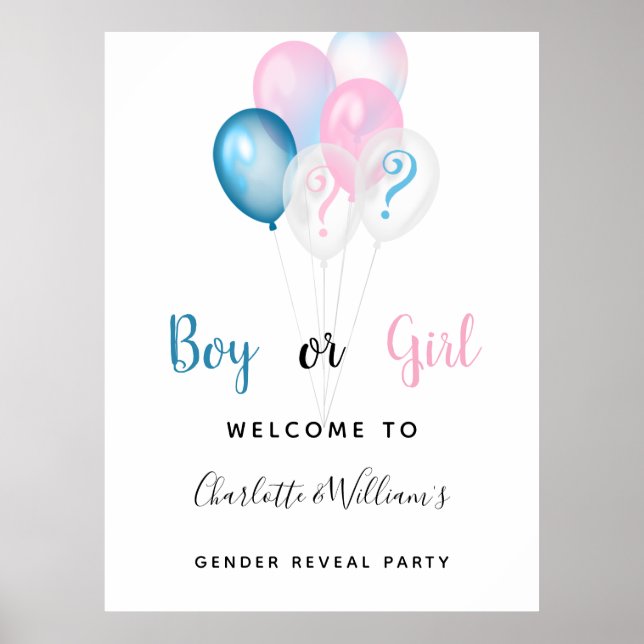 Gender reveal party boy girl blue pink welcome poster (Front)