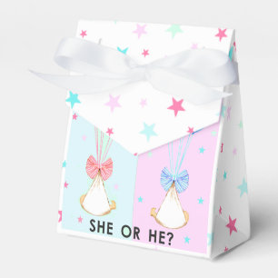 Gender Reveal Party Favour Box