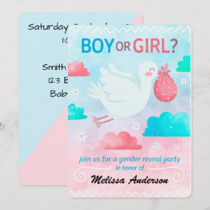 Gender Reveal Party Holiday Card