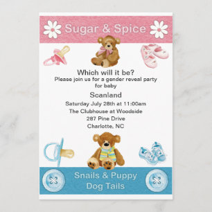 Gender Reveal Party Invitation