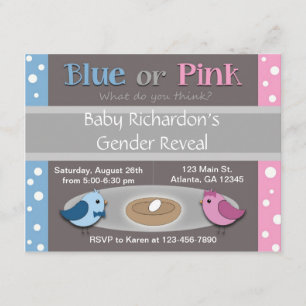 Gender Reveal Party Invitation (Birds in Nest)