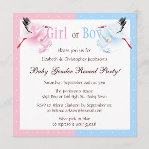 Gender Reveal Party Stork Delivering Baby Invitation
