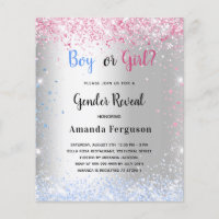 Gender reveal pink blue silve glitter budget