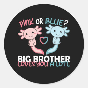 gender reveal pink or blue brother loves you lotl  classic round sticker