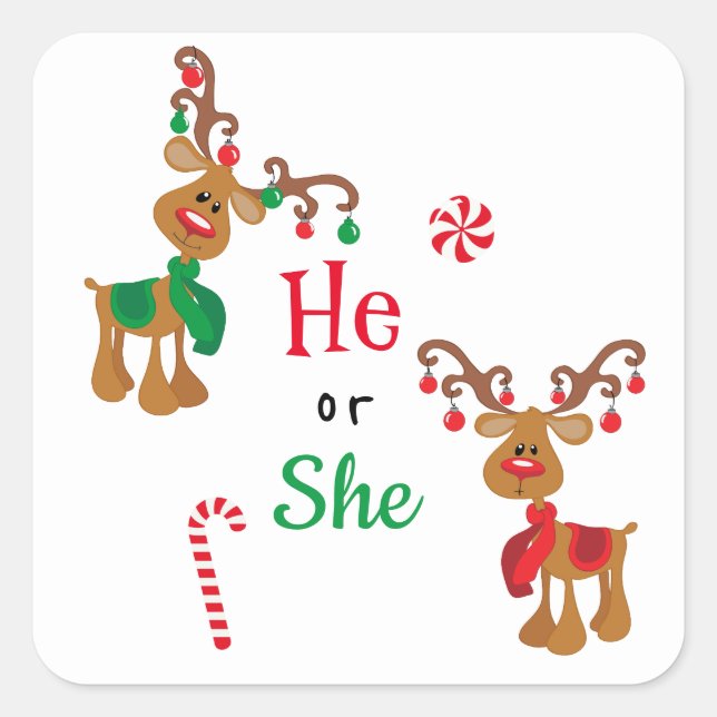 Gender Reveal Reindeer Christmas Holiday Square Sticker (Front)