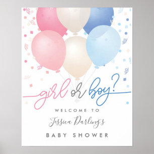 Gender Reveal Shower Pink Blue Welcome Poster