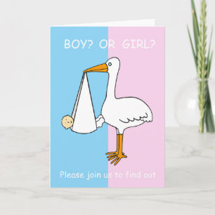 Gender Reveal Stork Invitation