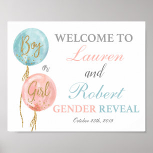 Gender reveal welcome sign