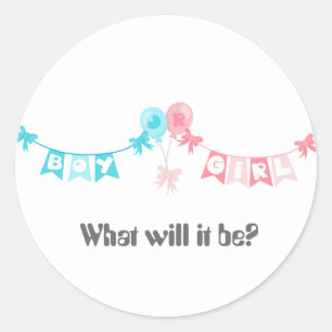 Gender Reveal What will it Be Boy Or Girl Classic Round Sticker