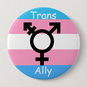 Gender Revolution LGBTQ Transgender Awareness Ally 10 Cm Round Badge