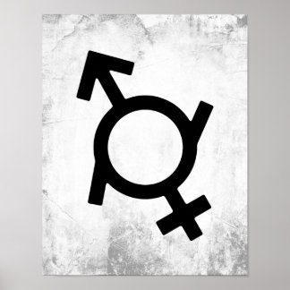 Genderfluid Gender Symbol Poster