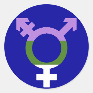 Genderqueer Flag Trans Symbol Classic Round Sticker