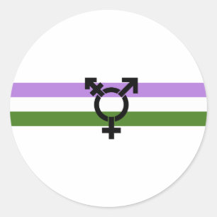 Genderqueer Pride Flag Classic Round Sticker