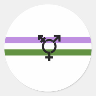 Genderqueer Pride Flag Classic Round Sticker