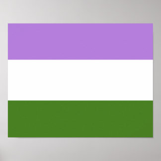 Genderqueer Pride Flag Poster