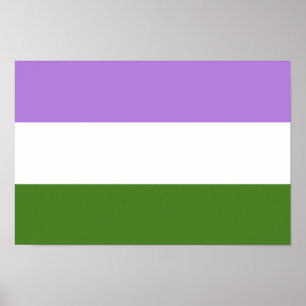 Genderqueer Pride Flag Poster