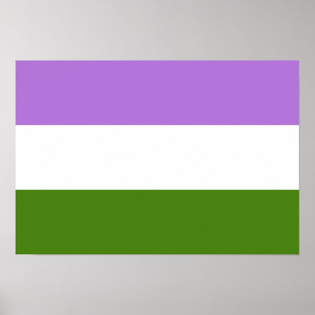Genderqueer Pride flag Poster (Front)