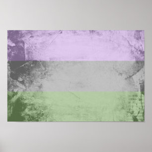 Genderqueer Pride Flag Poster