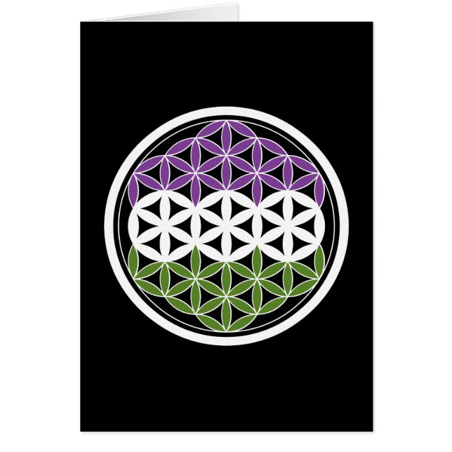 genderQueer sacred geometry (Front)