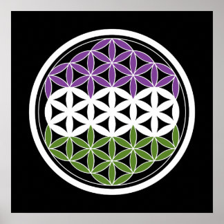 genderQueer sacred geometry Poster