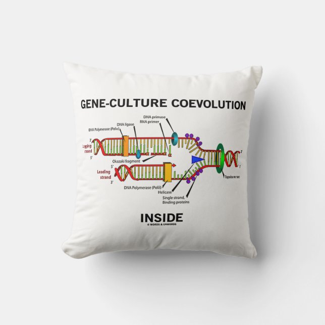 Gene-Culture Coevolution Inside DNA Replication Cushion (Front)