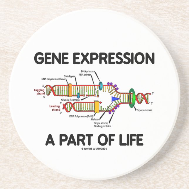 Gene Expression A Part Of Life (DNA Replication) Coaster (Front)