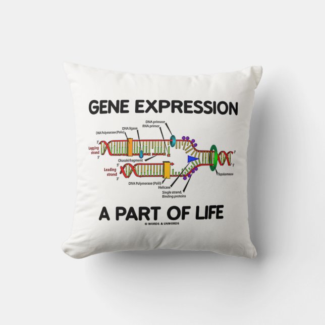 Gene Expression A Part Of Life (DNA Replication) Cushion (Front)