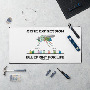 Gene Expression Blueprint For Life Homeobox Genes Desk Mat