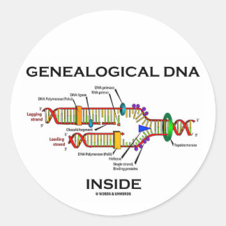 Genealogical DNA Inside (DNA Replication) Classic Round Sticker