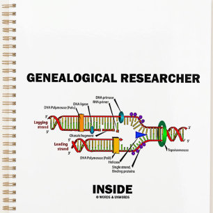 Genealogical Researcher Inside DNA Replication Planner