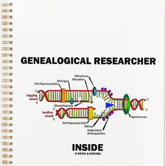 Genealogical Researcher Inside DNA Replication Planner