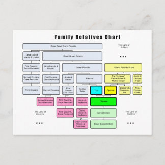 General Family Tree Organisation of Relatives Postcard
