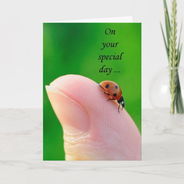 General Happy Birthday Ladybug Greeting Card (Front)