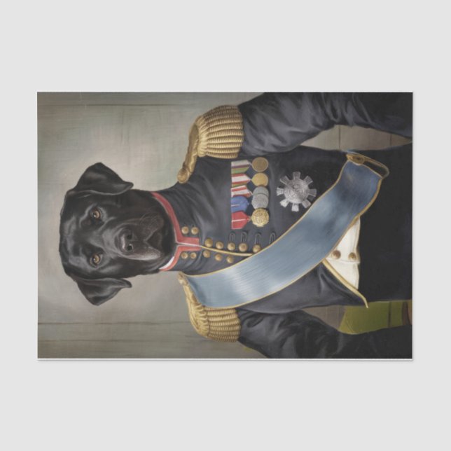 General Murphy, Black Lab in Military Uniform Tissue Paper (Front)