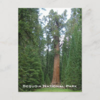 General Sherman