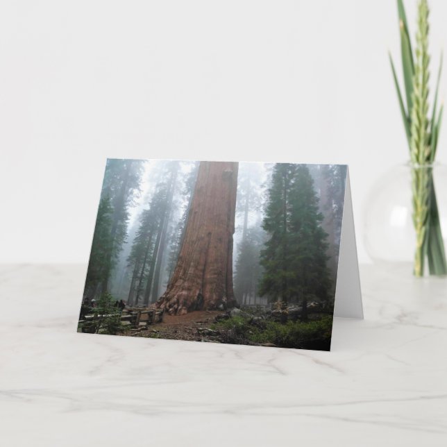 General Sherman Tree, Sequoia, CA Card (Front)