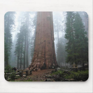 General Sherman Tree, Sequoia, CA Mouse Mat