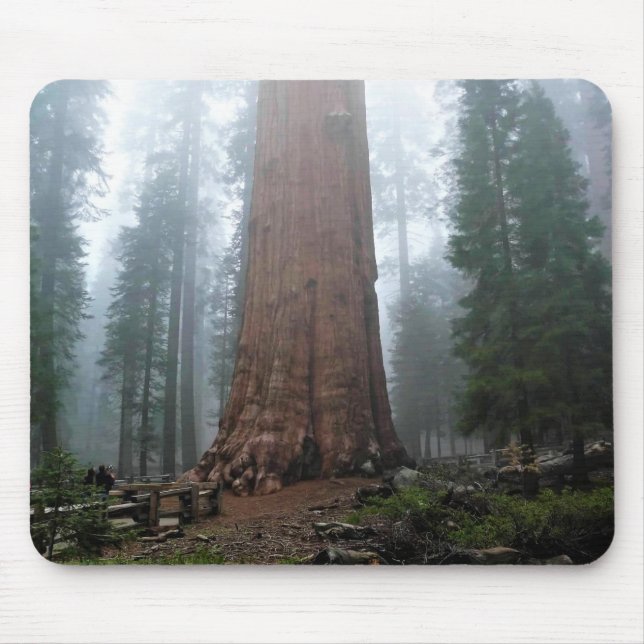 General Sherman Tree, Sequoia, CA Mouse Mat (Front)