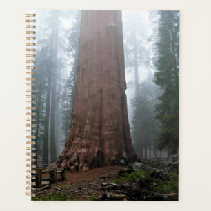 General Sherman Tree, Sequoia, CA Planner