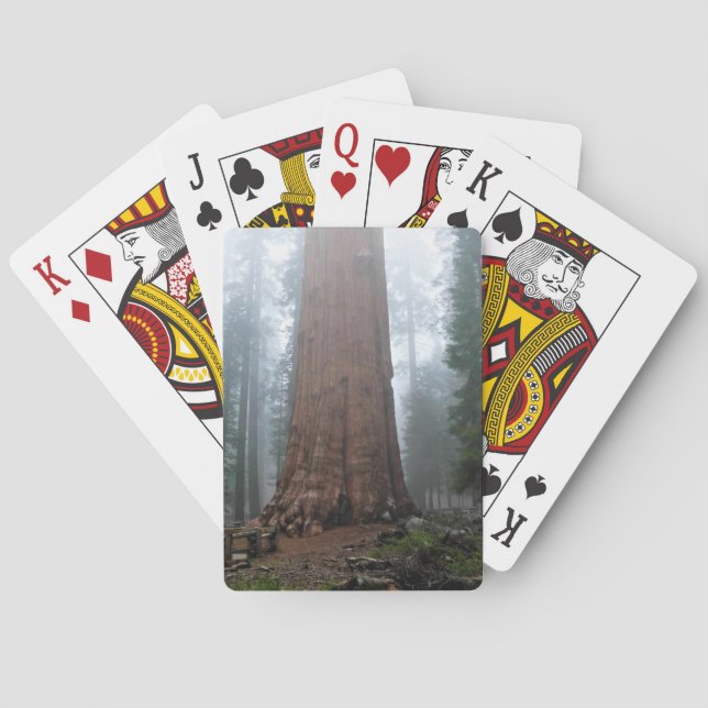 General Sherman Tree, Sequoia, CA Playing Cards (Back)