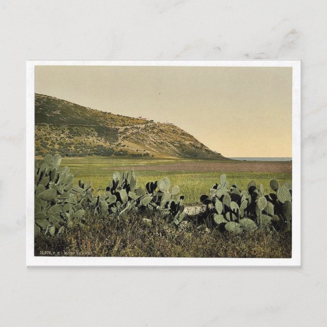 General view, Mount Carmel, Holy Land, (i.e. Israe Postcard (Front)