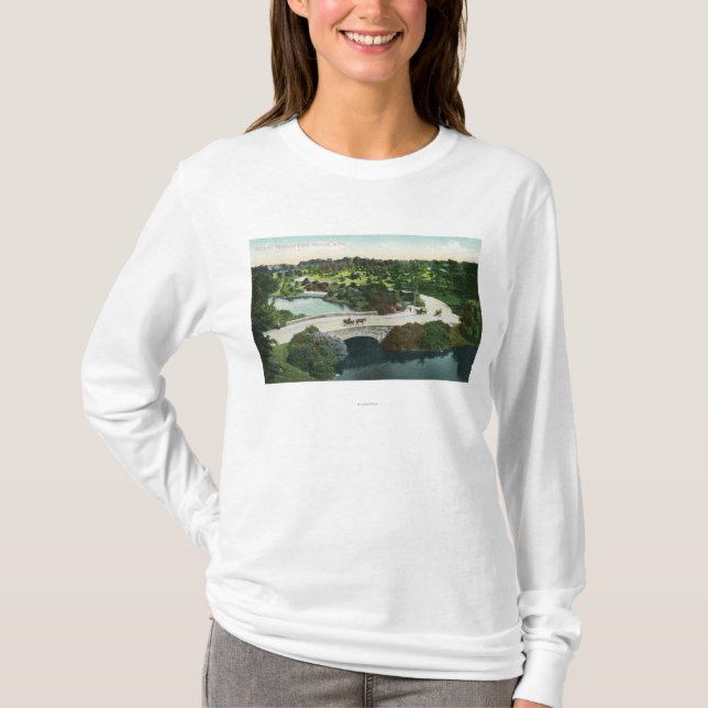 General View of Franklin Park T-Shirt (Front)
